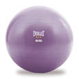 Picture of Everlast lopta za vježbanje i stabilnost